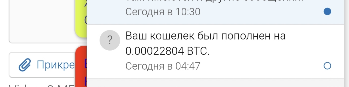 1000382105.jpg
