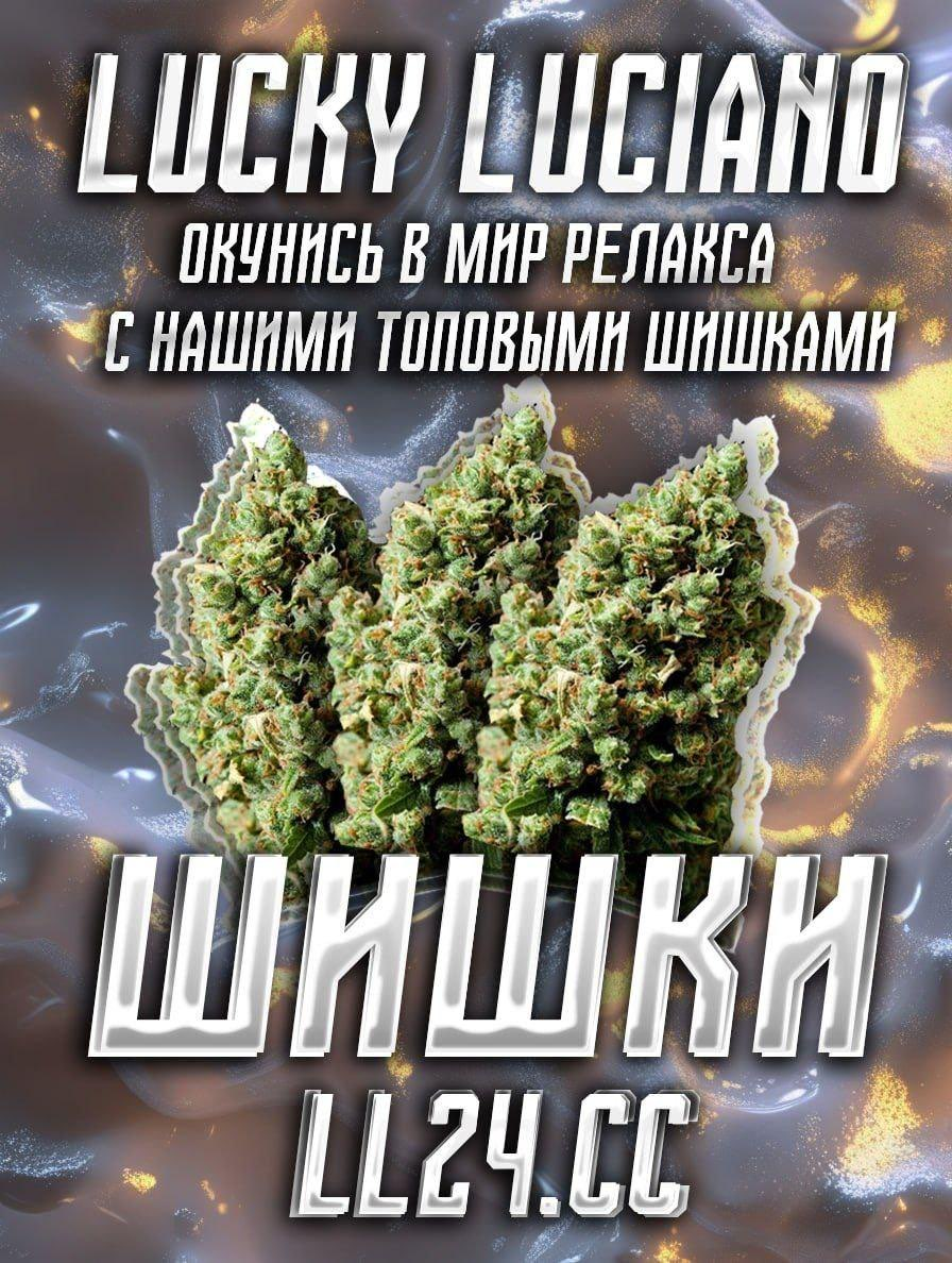 1780300224665.png
