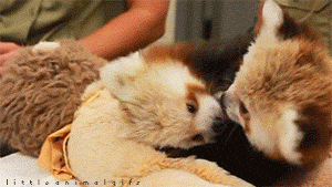 1MI.gif