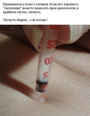 2024-04-17 13.24.14.jpg