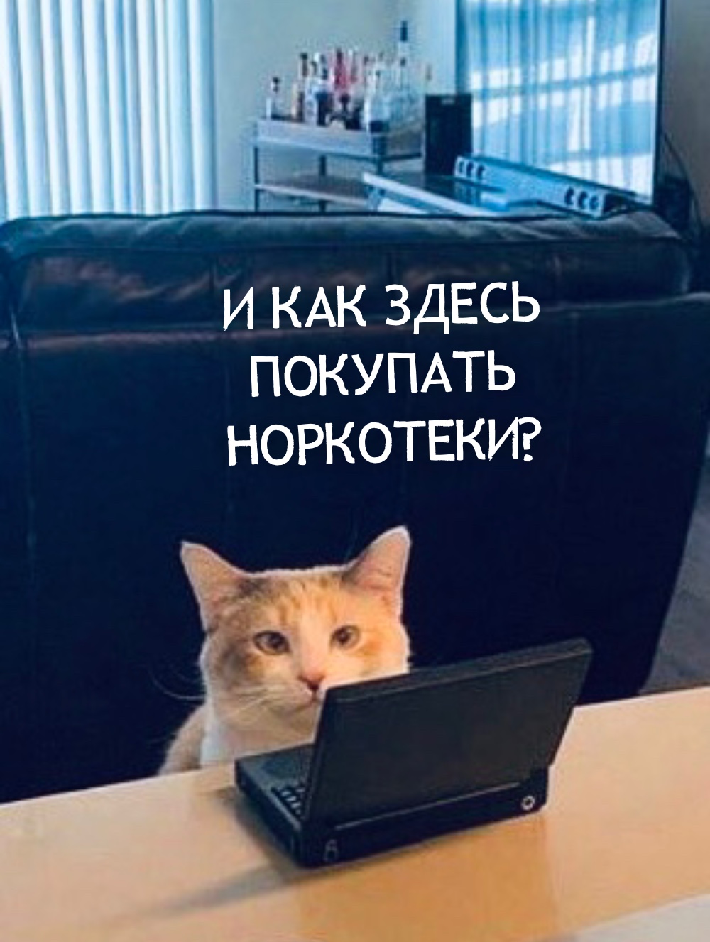 2512344A-F5BF-41C2-A7ED-DD799DEA5BE6.jpeg
