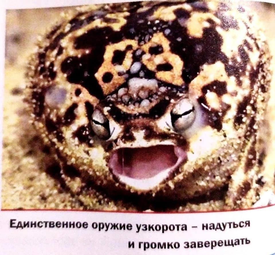 FEAAFF5A-A38F-433A-94C9-DA8C1878A3F0.jpeg
