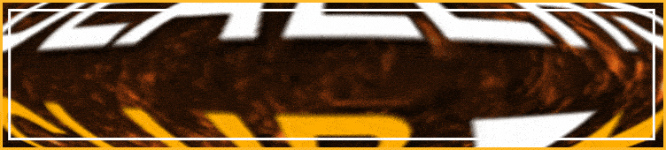 GUTSYDESIGN(2).gif