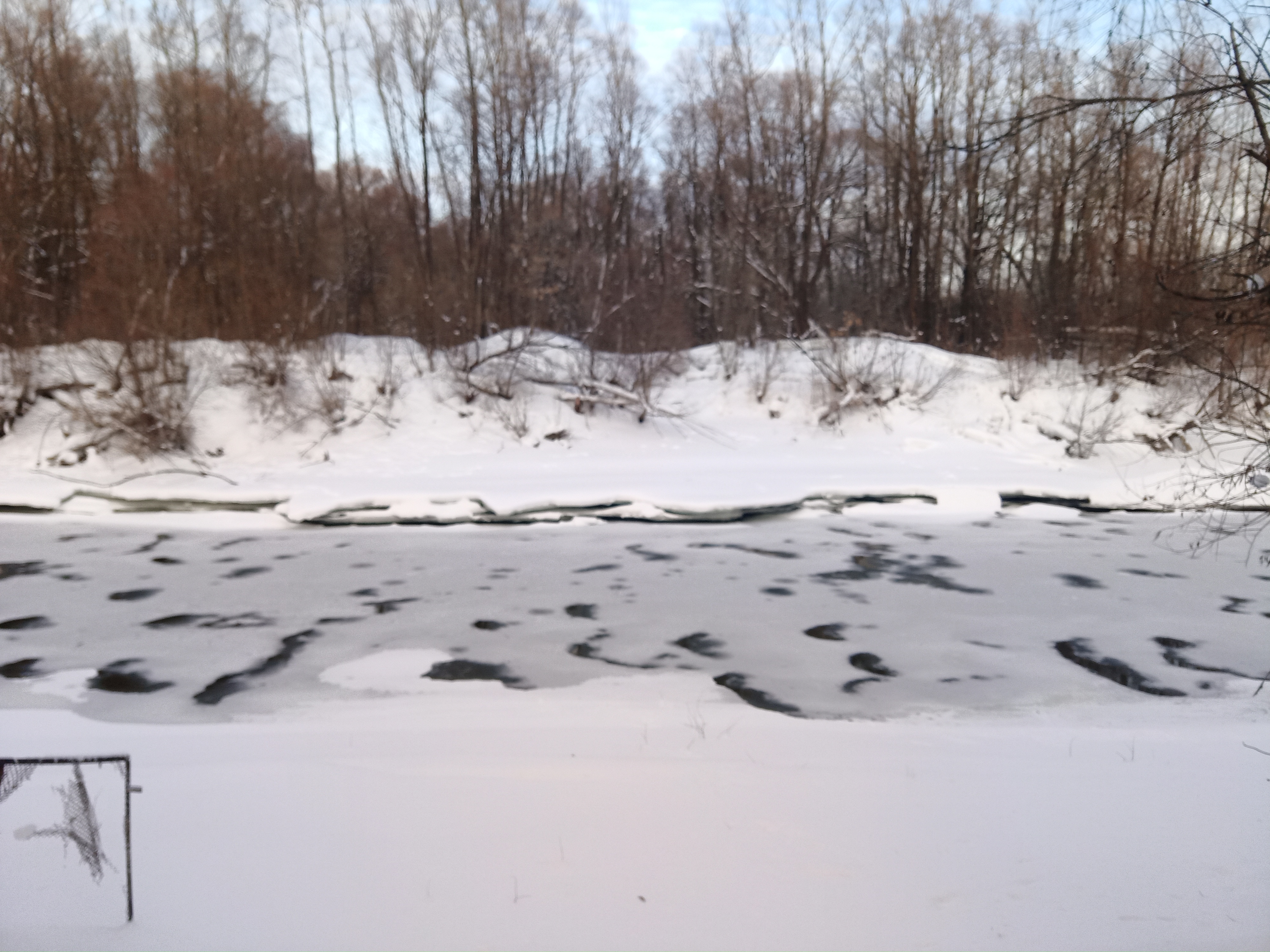 IMG_20230126_162659.jpg