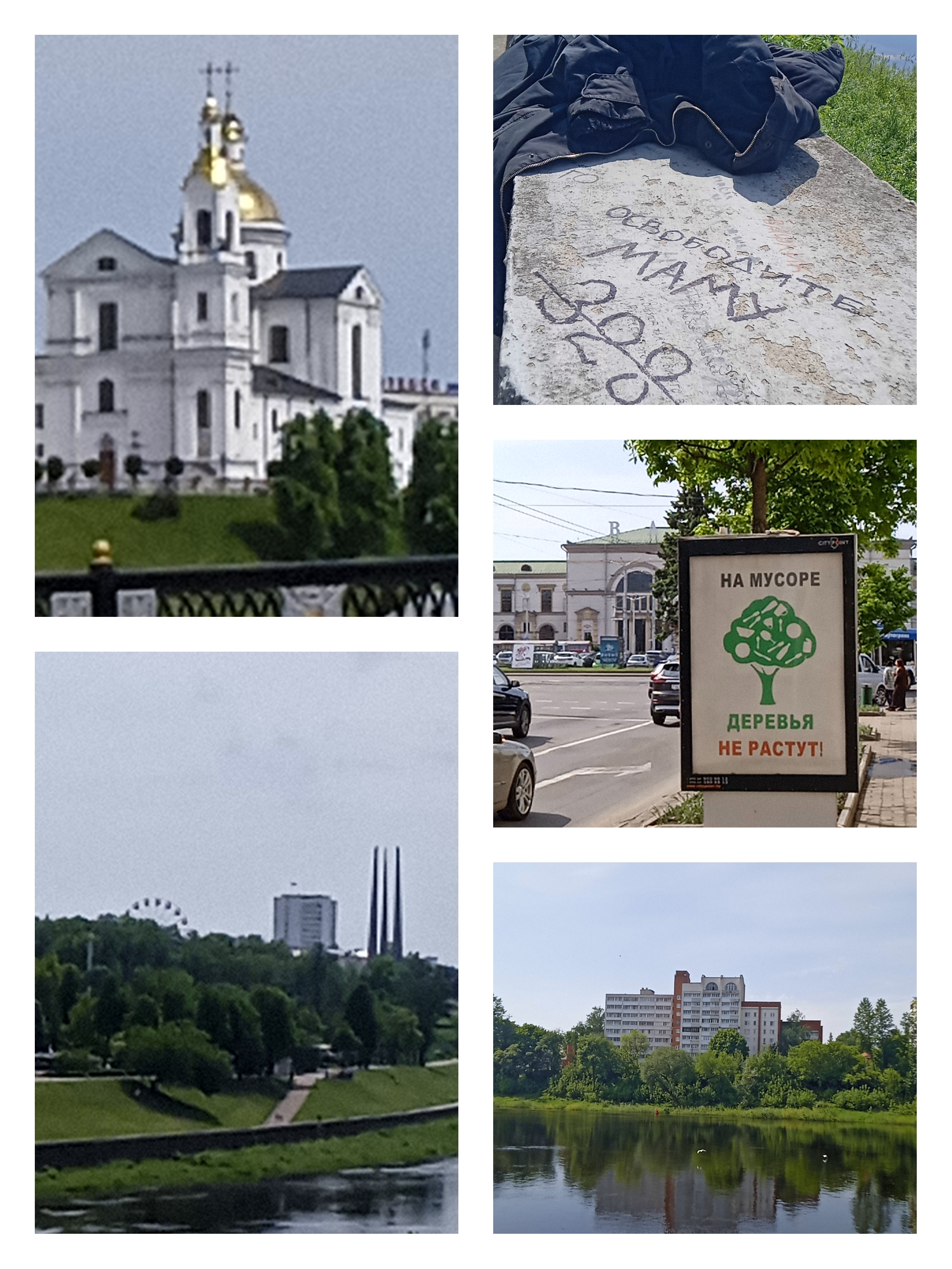 IMG_20260519_094159.jpg