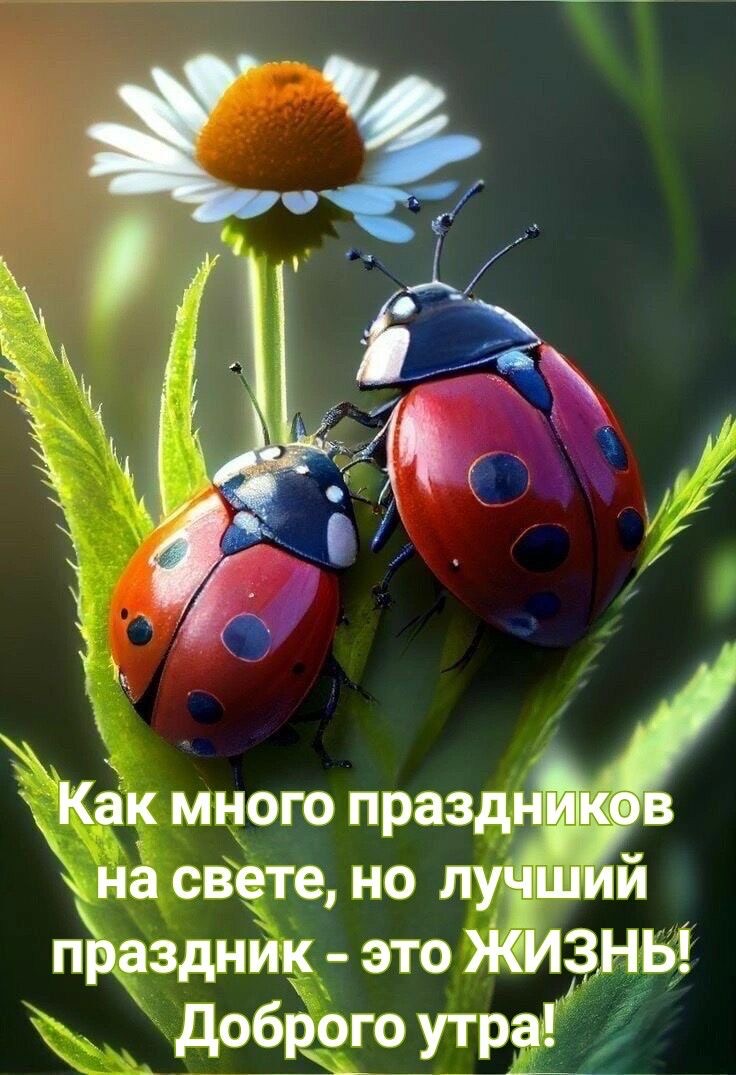 IMG_2318.jpeg