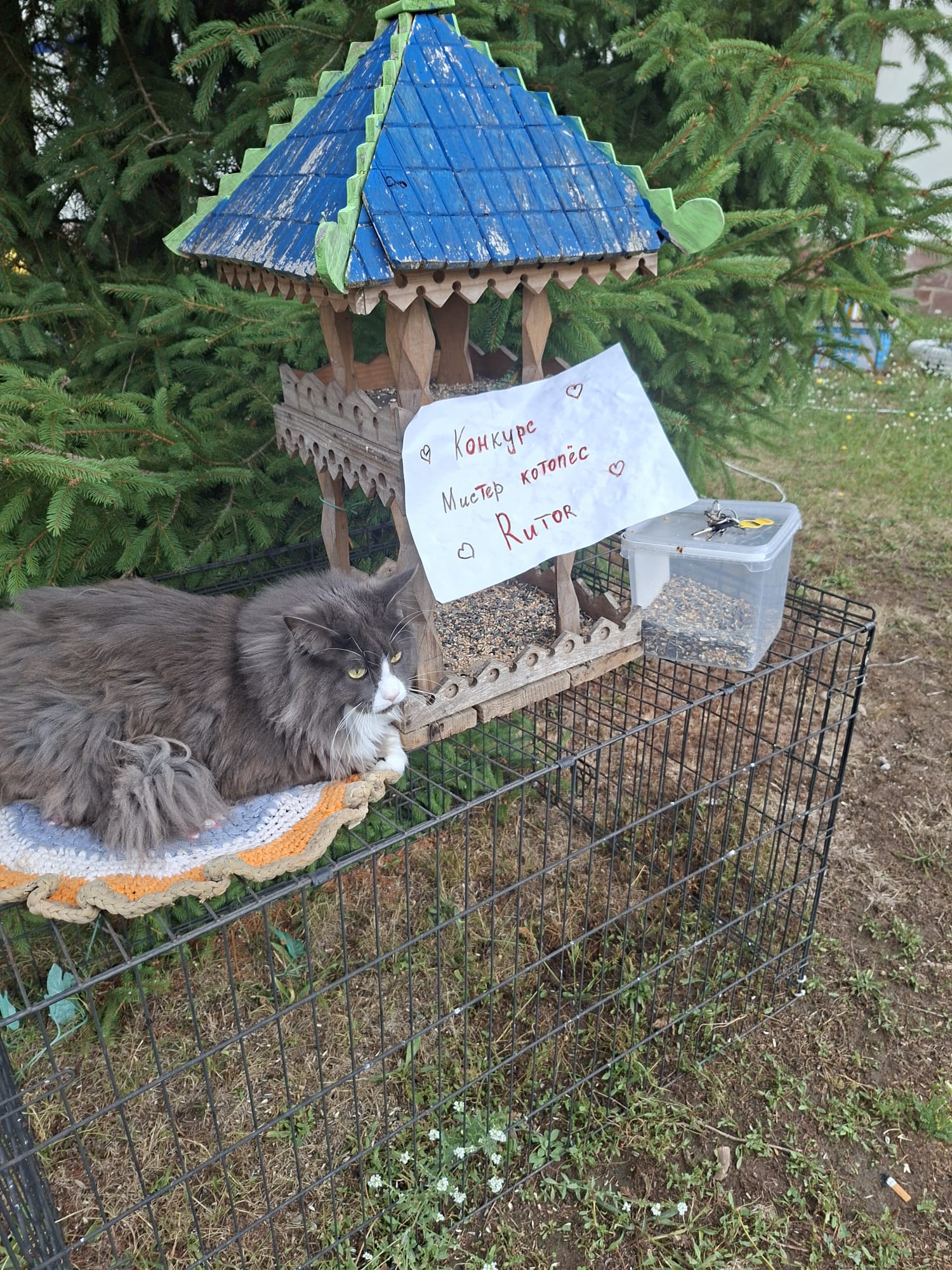 кормилец.jpeg
