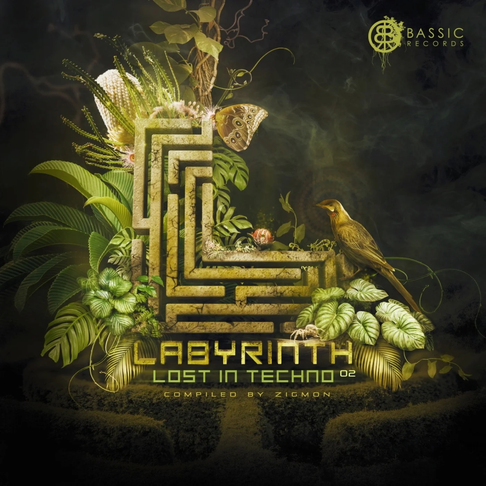 Labyrinth, Lost In Techno 02 1000x1000.jpg