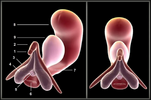 2025-01-21_061133.png