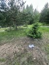 IMG_4323.jpeg