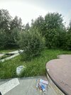 IMG_4332.jpeg