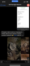 C126D5AA-C4F1-44AD-997A-8DC18A1DA046.png