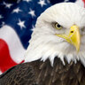 EagleUs