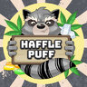 HufflePuff