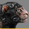 robokoshka