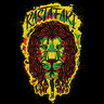 Rasta_Bos