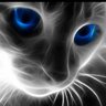 Solnce777