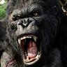 KingKongTank