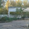 rastok196rus