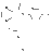 zopiclones